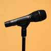 Image of microphone on stand