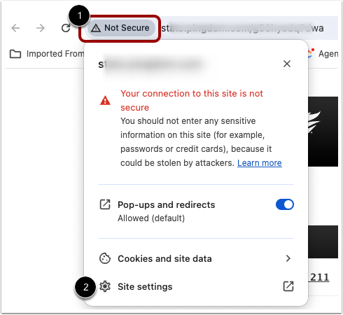 Chrome Security