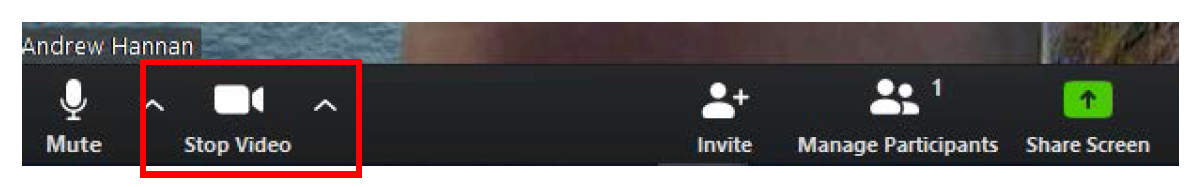 Stop video button on Zoom control panel