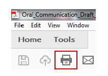 a screenshot of the print icon