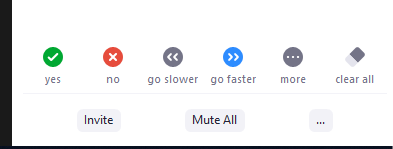 the Mute All button during a meeting