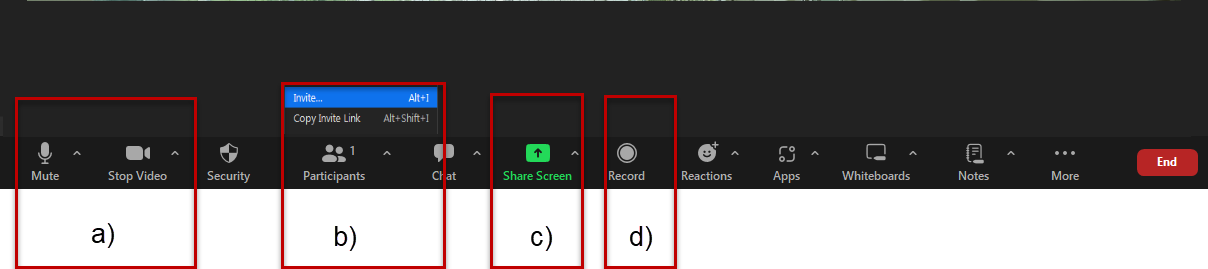 Zoom Toolbar displaying settings