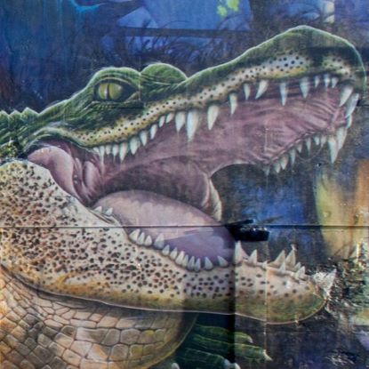 Mural of a gator head on a blue wall