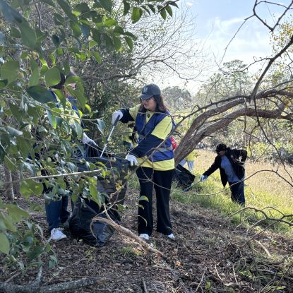 Volunteers at UHD's GatorServe pick up trash.